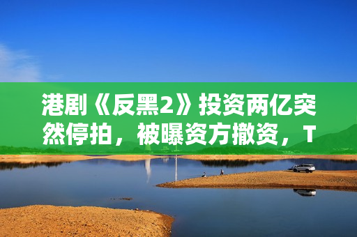 港剧《反黑2》投资两亿突然停拍，被曝资方撤资，TVB多位艺人参演