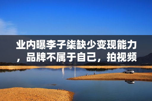 业内曝李子柒缺少变现能力，品牌不属于自己，拍视频很难插入广告