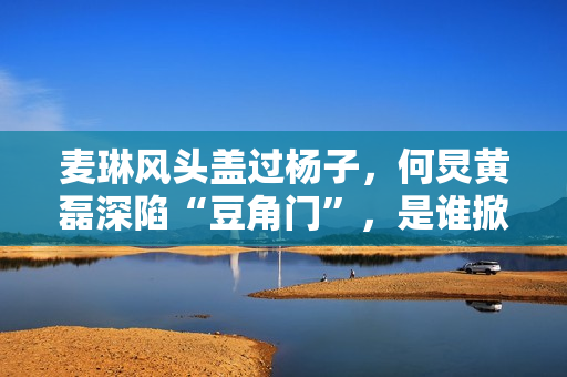 麦琳风头盖过杨子，何炅黄磊深陷“豆角门”，是谁掀起全民骂战？