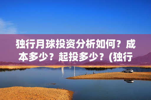 独行月球投资分析如何？成本多少？起投多少？(独行月球电影什么时候开机)