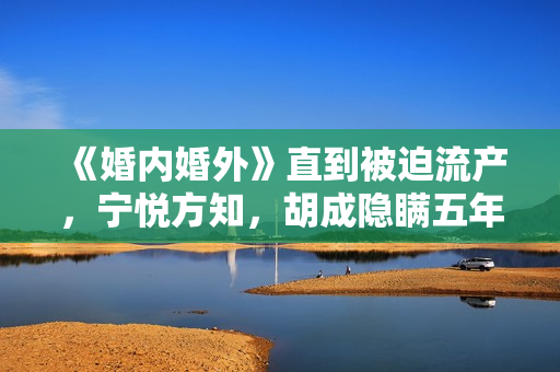 《婚内婚外》直到被迫流产，宁悦方知，胡成隐瞒五年的真相