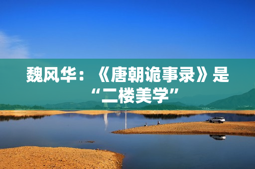 魏风华：《唐朝诡事录》是“二楼美学”