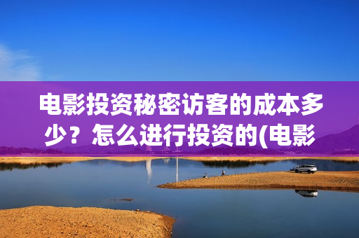 电影投资秘密访客的成本多少？怎么进行投资的(电影投资秘密访客演员表)