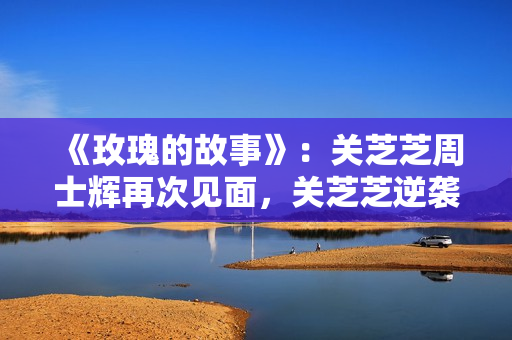 《玫瑰的故事》：关芝芝周士辉再次见面，关芝芝逆袭成为亿万富翁