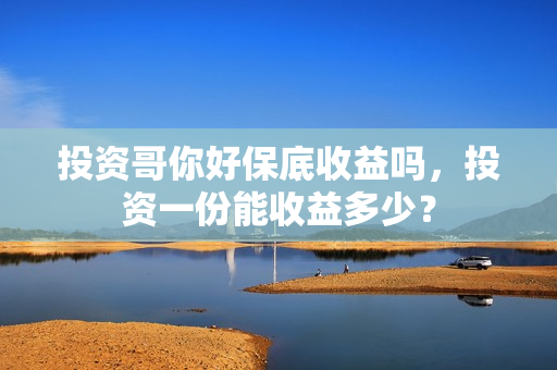 投资哥你好保底收益吗，投资一份能收益多少？