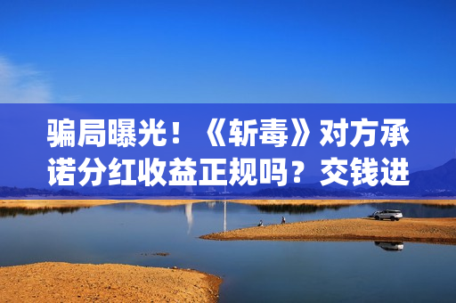 骗局曝光！《斩毒》对方承诺分红收益正规吗？交钱进去被骗怎么办？——抵制耐克(斩虍是什么意思)