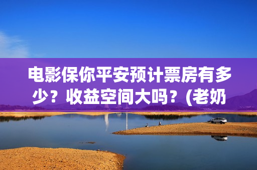 电影保你平安预计票房有多少？收益空间大吗？(老奶奶说保你平安什么意思)
