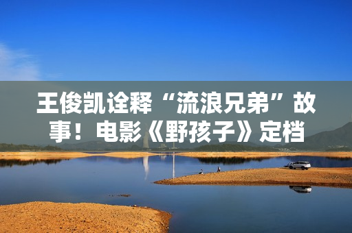 王俊凯诠释“流浪兄弟”故事！电影《野孩子》定档