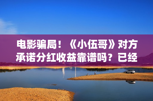 电影骗局！《小伍哥》对方承诺分红收益靠谱吗？已经合同认购可以追回吗？——抵制耐克(骗局改编电影)