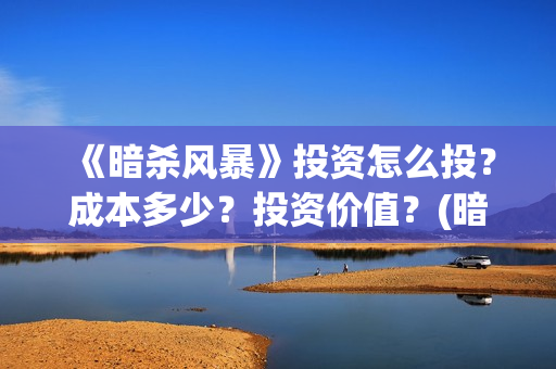 《暗杀风暴》投资怎么投？成本多少？投资价值？(暗杀风暴在线观看)
