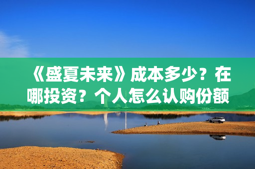 《盛夏未来》成本多少？在哪投资？个人怎么认购份额？(盛夏未来l)