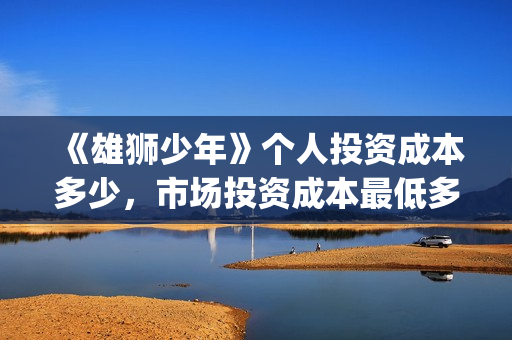 《雄狮少年》个人投资成本多少，市场投资成本最低多少？(《雄狮少年》个人介绍)