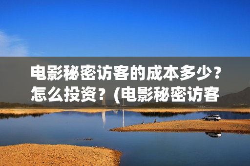 电影秘密访客的成本多少？怎么投资？(电影秘密访客的内容)