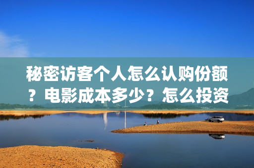 秘密访客个人怎么认购份额？电影成本多少？怎么投资？(秘密访客隐藏细节)