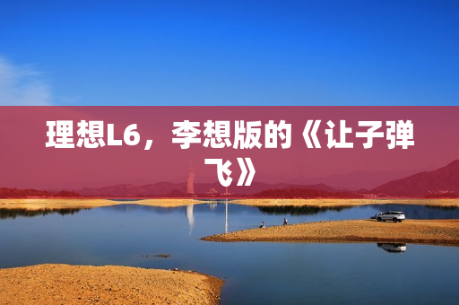 理想L6，李想版的《让子弹飞》