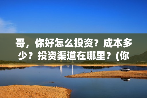 哥，你好怎么投资？成本多少？投资渠道在哪里？(你好哥哥表情包)