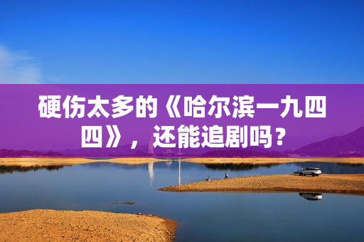 硬伤太多的《哈尔滨一九四四》，还能追剧吗？