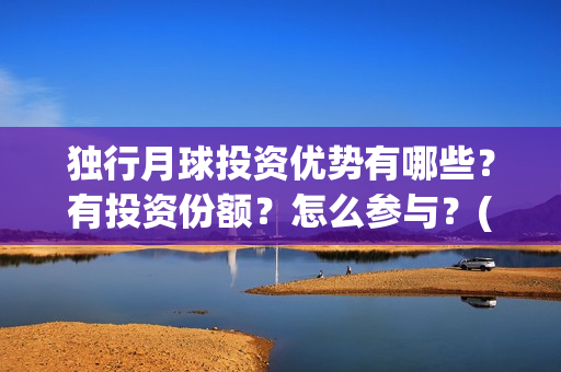 独行月球投资优势有哪些？有投资份额？怎么参与？(独行月球什么时候上映)