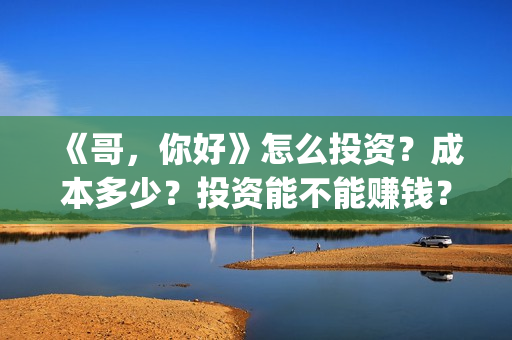 《哥，你好》怎么投资？成本多少？投资能不能赚钱？(哥哥hi你好)