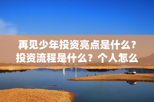 再见少年投资亮点是什么？投资流程是什么？个人怎么参与(再见少年联合出品方)