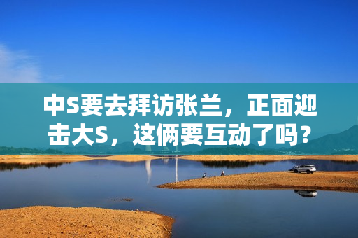 中S要去拜访张兰，正面迎击大S，这俩要互动了吗？