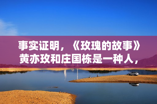 事实证明，《玫瑰的故事》黄亦玫和庄国栋是一种人，但后者更自私