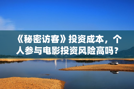 《秘密访客》投资成本，个人参与电影投资风险高吗？(秘密访客讲解析)