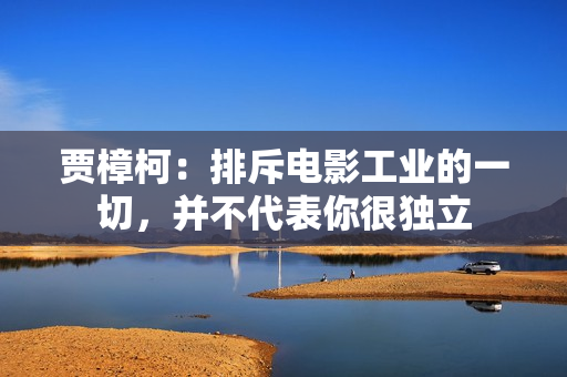 贾樟柯：排斥电影工业的一切，并不代表你很独立