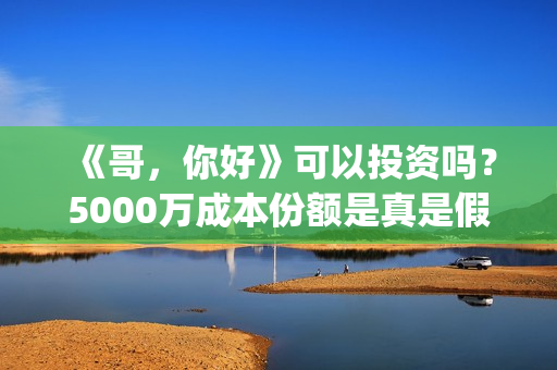 《哥，你好》可以投资吗？5000万成本份额是真是假？(你好哥哥表情包)