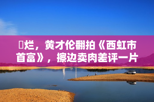 ​烂，黄才伦翻拍《西虹市首富》，擦边卖肉差评一片，票房仅6万