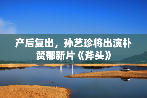 产后复出，孙艺珍将出演朴赞郁新片《斧头》