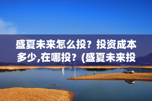 盛夏未来怎么投？投资成本多少,在哪投？(盛夏未来投屏)