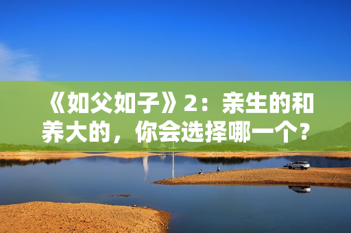 《如父如子》2：亲生的和养大的，你会选择哪一个？