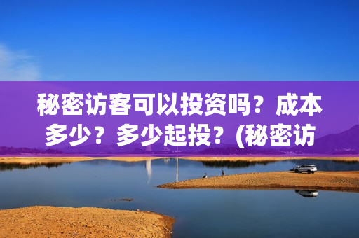 秘密访客可以投资吗？成本多少？多少起投？(秘密访客害怕么)