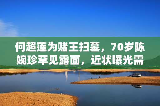 何超莲为赌王扫墓，70岁陈婉珍罕见露面，近状曝光需两人搀扶上山