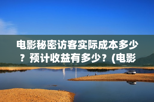 电影秘密访客实际成本多少？预计收益有多少？(电影秘密访客的真相)