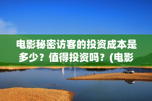 电影秘密访客的投资成本是多少？值得投资吗？(电影 秘密访客)