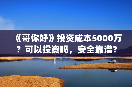 《哥你好》投资成本5000万？可以投资吗，安全靠谱？(《哥你好》投资多少钱)