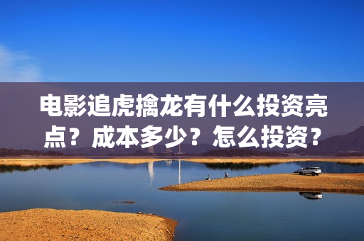 电影追虎擒龙有什么投资亮点？成本多少？怎么投资？(电影:追虎擒龙)