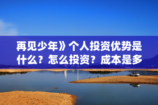 再见少年》个人投资优势是什么？怎么投资？成本是多少？(再见少年简介)
