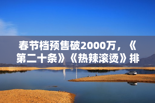 春节档预售破2000万，《第二十条》《热辣滚烫》排名前二
