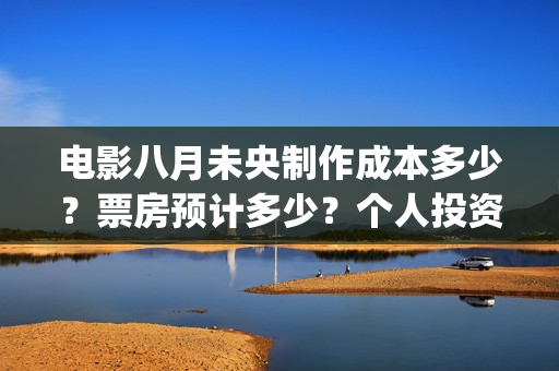 电影八月未央制作成本多少？票房预计多少？个人投资份额真实吗？(电影八月未央制片人是谁)