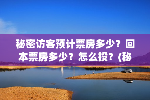 秘密访客预计票房多少？回本票房多少？怎么投？(秘密访客 购票立减12元)