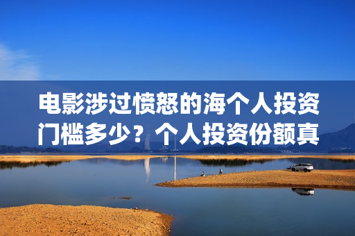 电影涉过愤怒的海个人投资门槛多少？个人投资份额真实吗？(电影涉过愤怒的河的内容)
