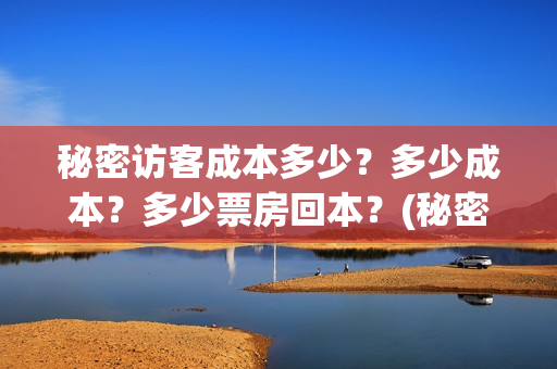 秘密访客成本多少？多少成本？多少票房回本？(秘密访客访客是谁)
