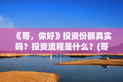 《哥，你好》投资份额真实吗？投资流程是什么？(哥哥hi你好)