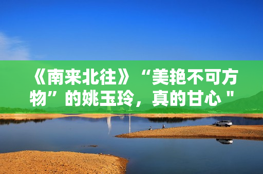 《南来北往》“美艳不可方物”的姚玉玲，真的甘心＂卖烤串＂吗？