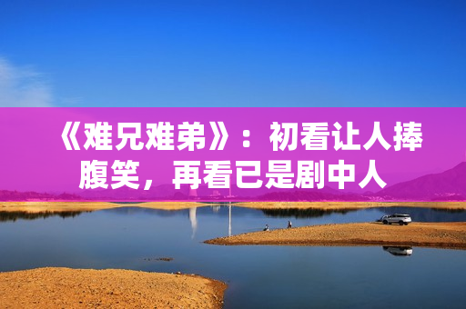 《难兄难弟》：初看让人捧腹笑，再看已是剧中人