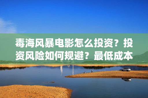 毒海风暴电影怎么投资？投资风险如何规避？最低成本多少？(毒海风暴上映时间)