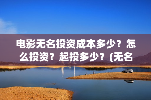 电影无名投资成本多少？怎么投资？起投多少？(无名电影演员)